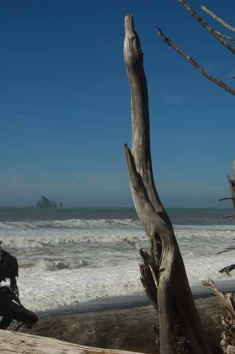 Rialto Beach